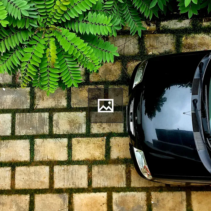 Aerial hood of black car