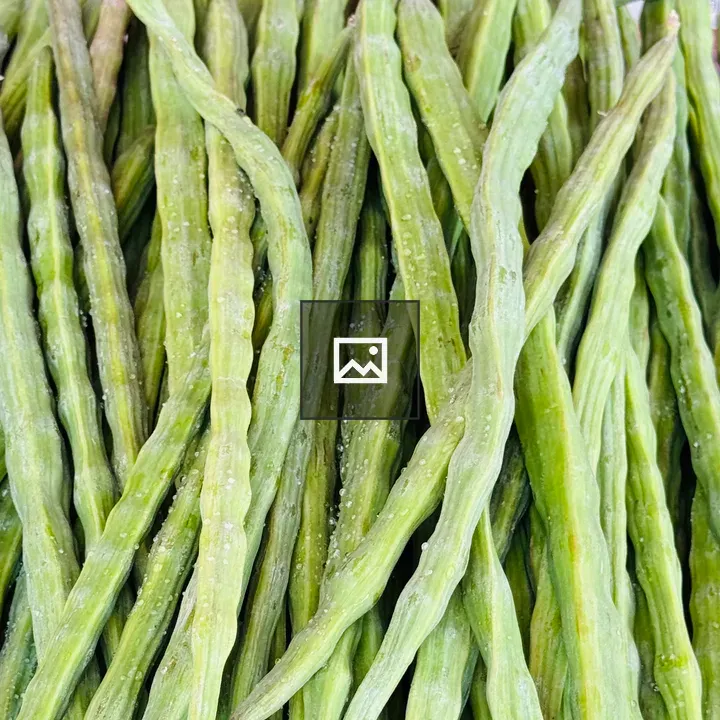 Drumsticks Moringa Pods Close-up