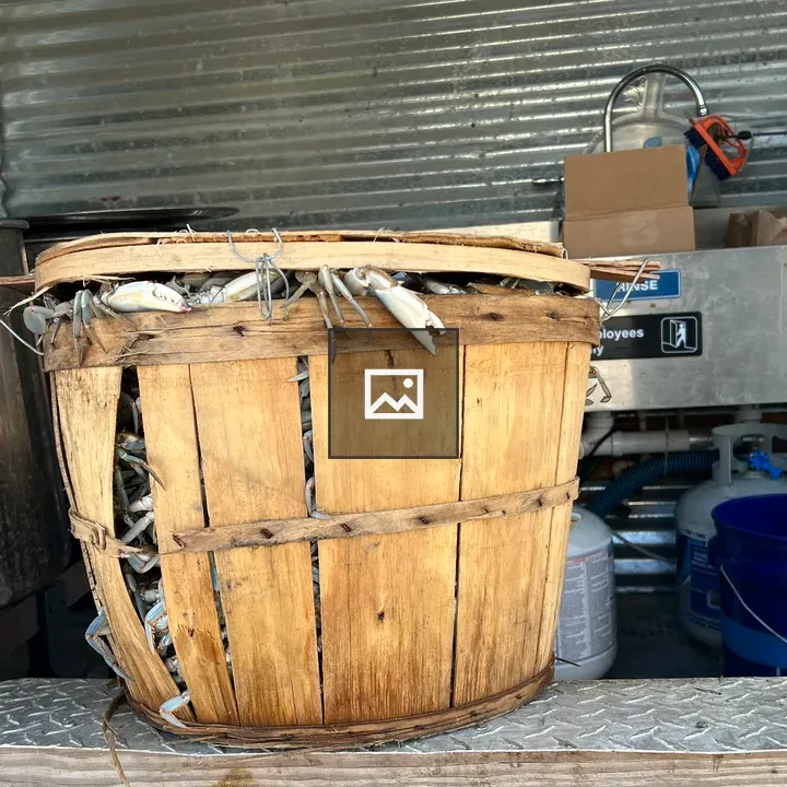 Wooden bushel basket with blue crabs