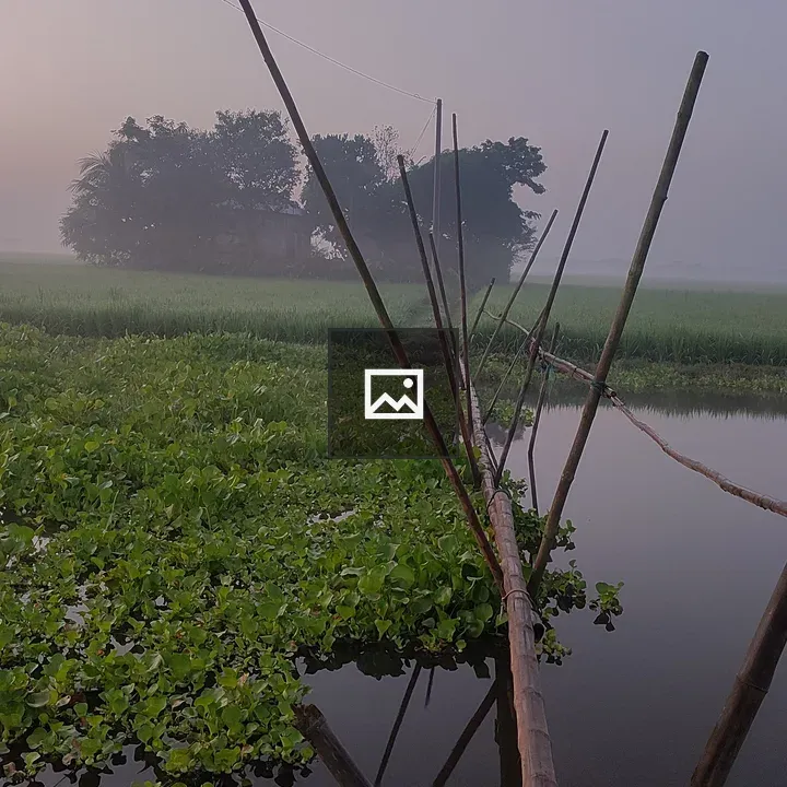 Mist and waterway with bamboo fence