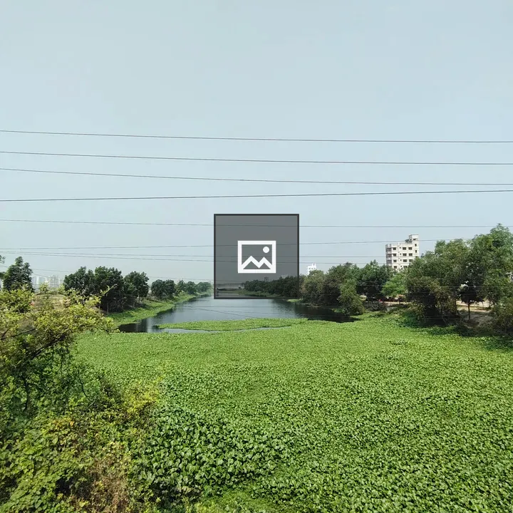Diabari lake scene