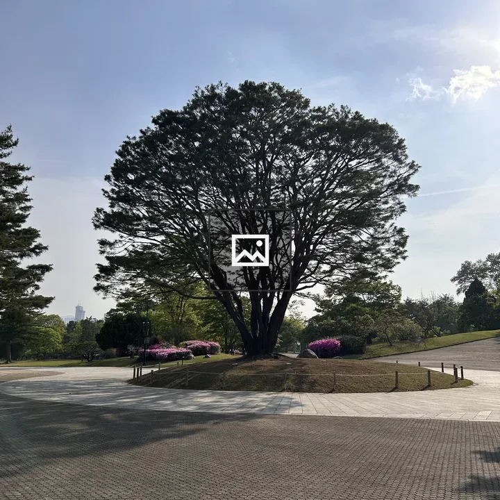 Tree on grassy mound with purple flowers