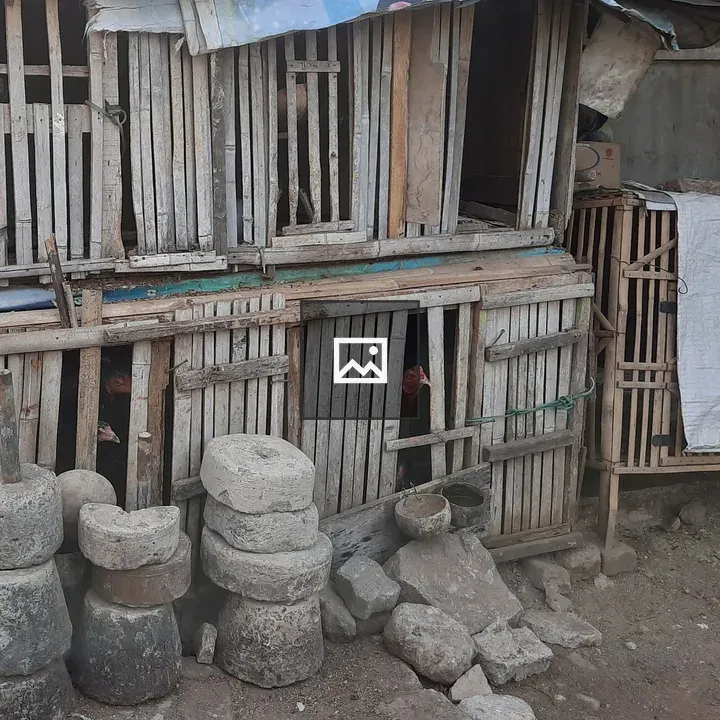 The Chicken Coop
