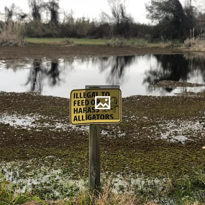 Alligator Safety Sign at Fontainbleau