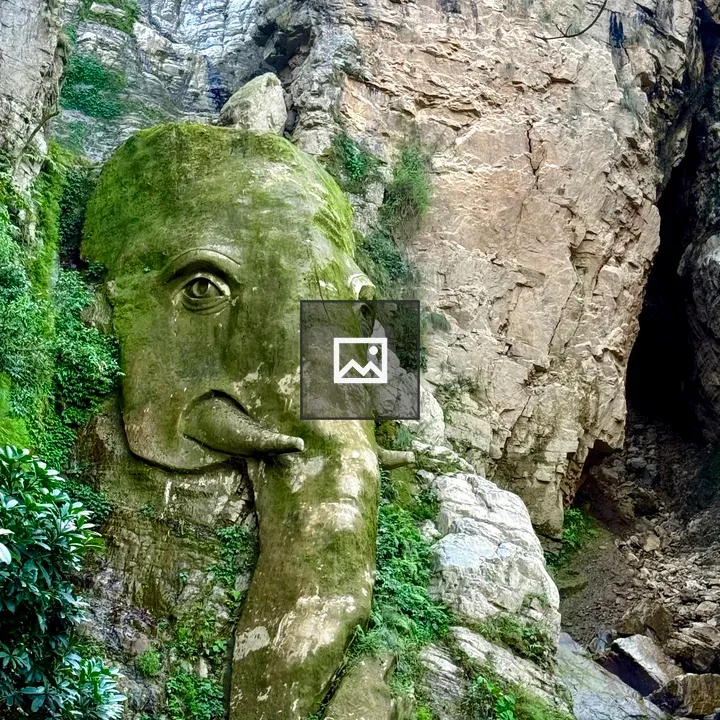 Rock shaped like an elephant head