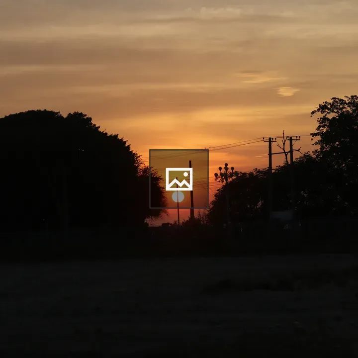 Sunset with tree silhouettes