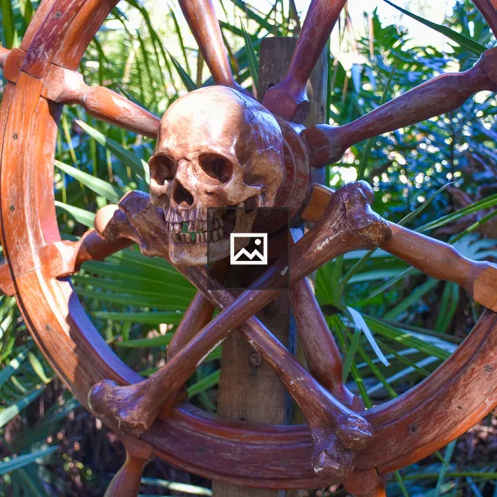 Skull and crossbones pirate steering wheel