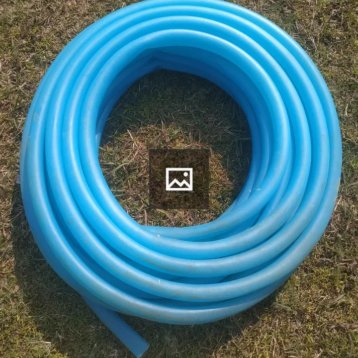 Blue garden hose on lawn