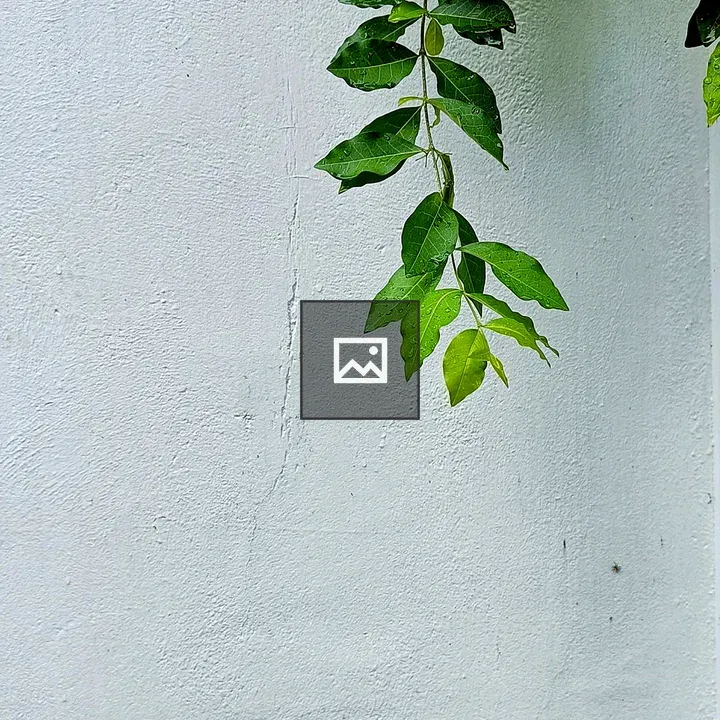 Plant Hanging on White Wall