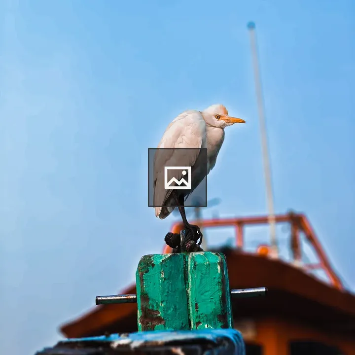 White bird on green post