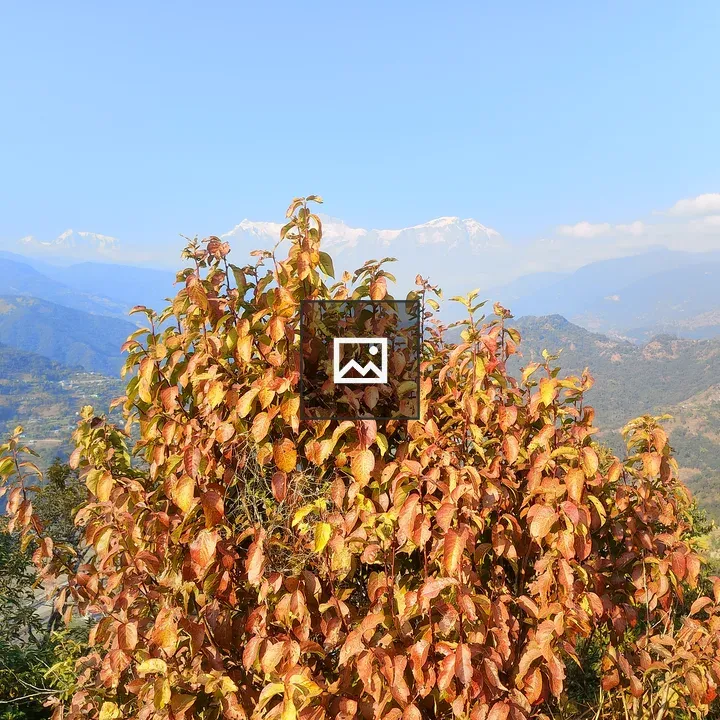 Autumn Tree with Mountain Backdrop