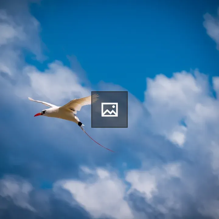 Red tail bird in flight