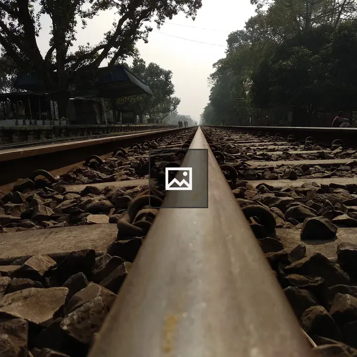 Railway track beneath trees