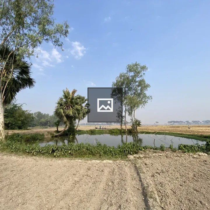 Pond Scene with Trees and Sky