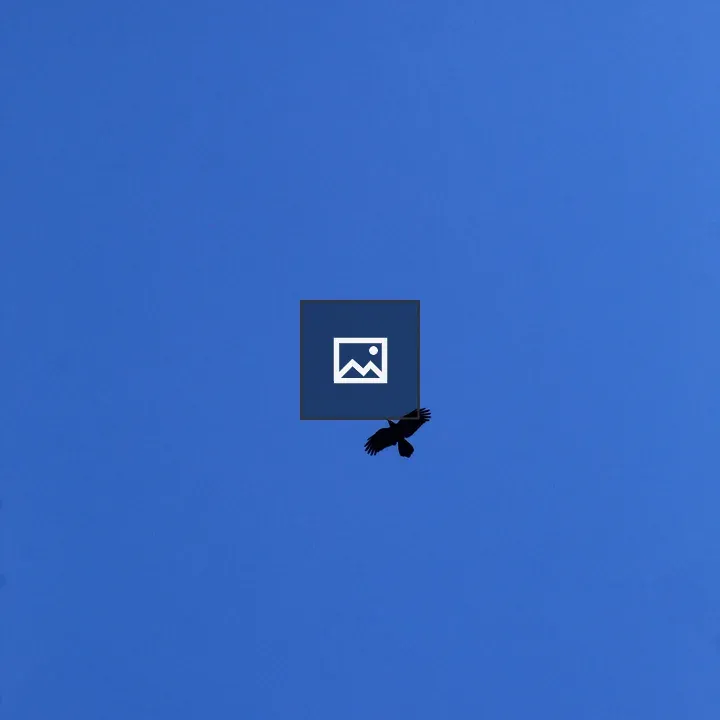 Bird silhouette against blue sky