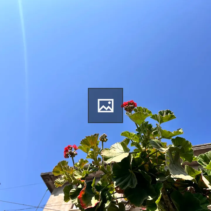 Tiny flowers and leaves against blue sky