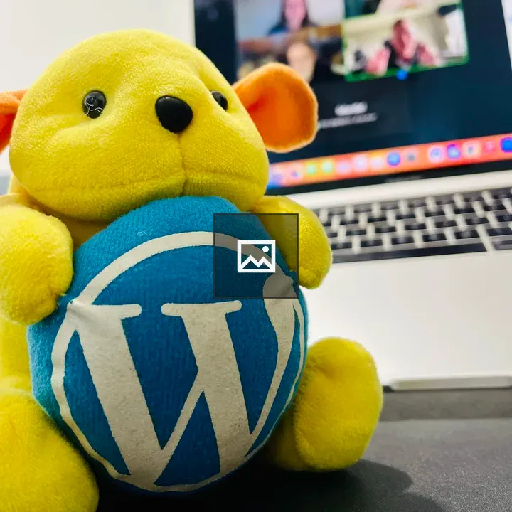 Wappu WordPress Logo with Laptop