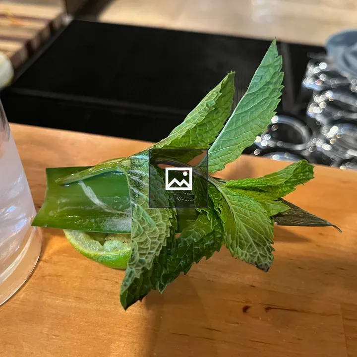 Mint Garnish on Pineapple Frond