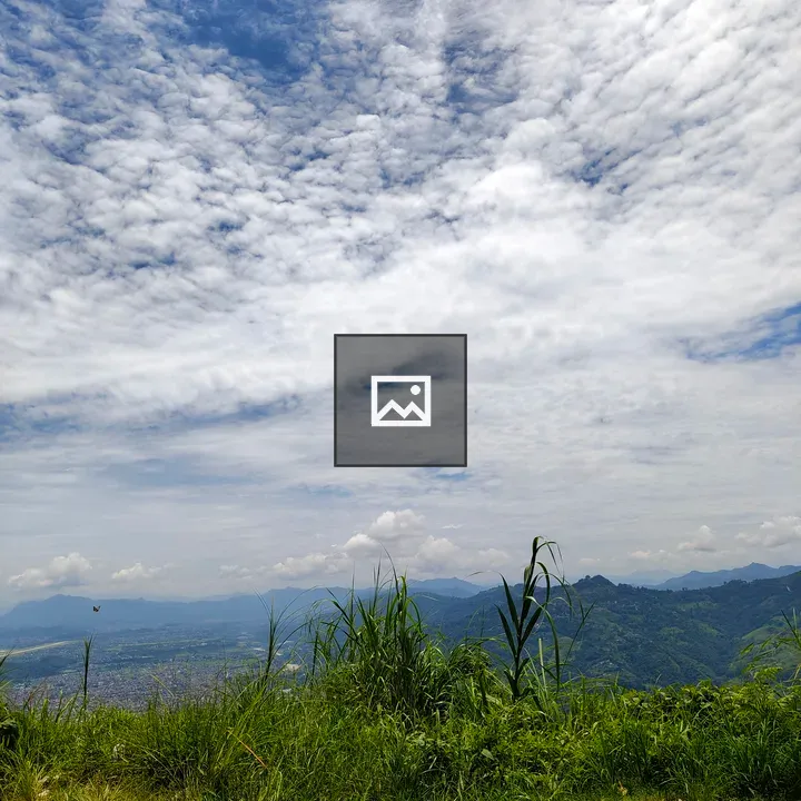 Hilltop View with Grass and Plants