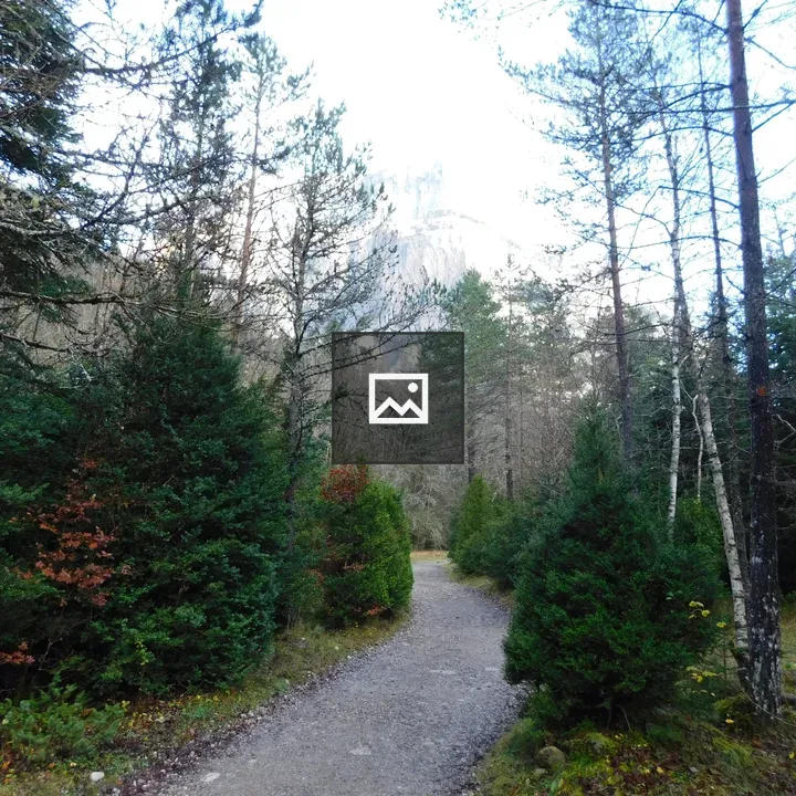 Forest Trail in Ordesa National Park