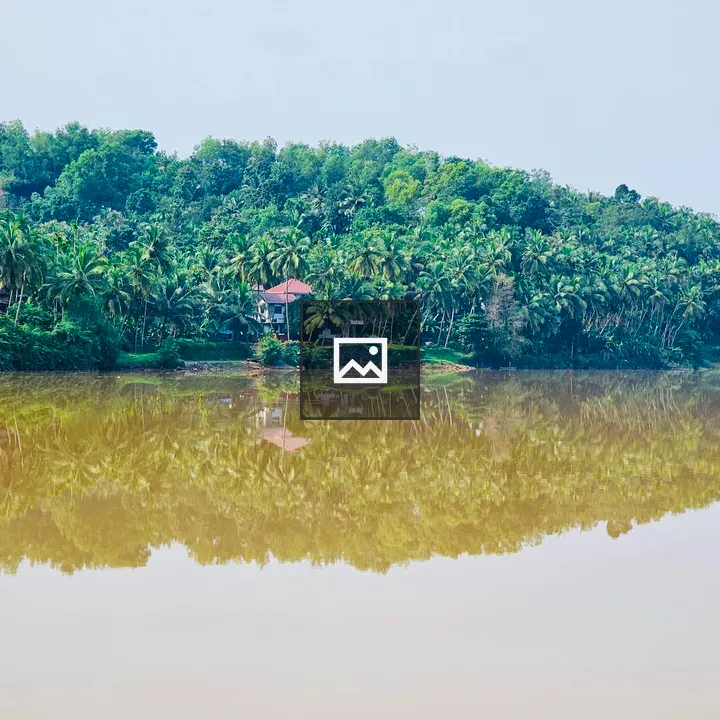 Shadows in Chaliyar River Mud