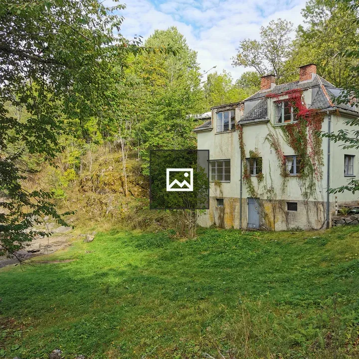 Old house with vines