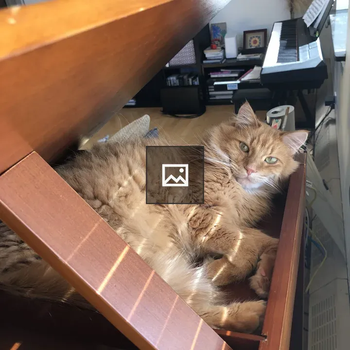 Orange cat sunning by drafting desk