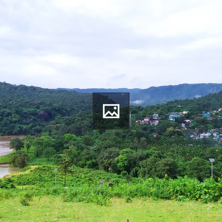 Natural Landscape Scene