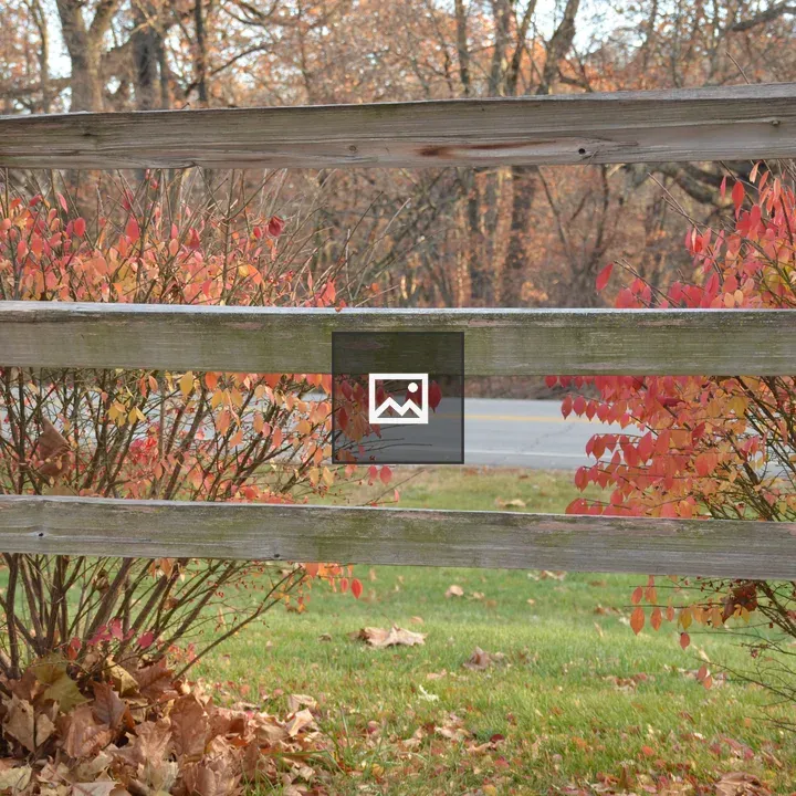 Wood fence with fall leaves