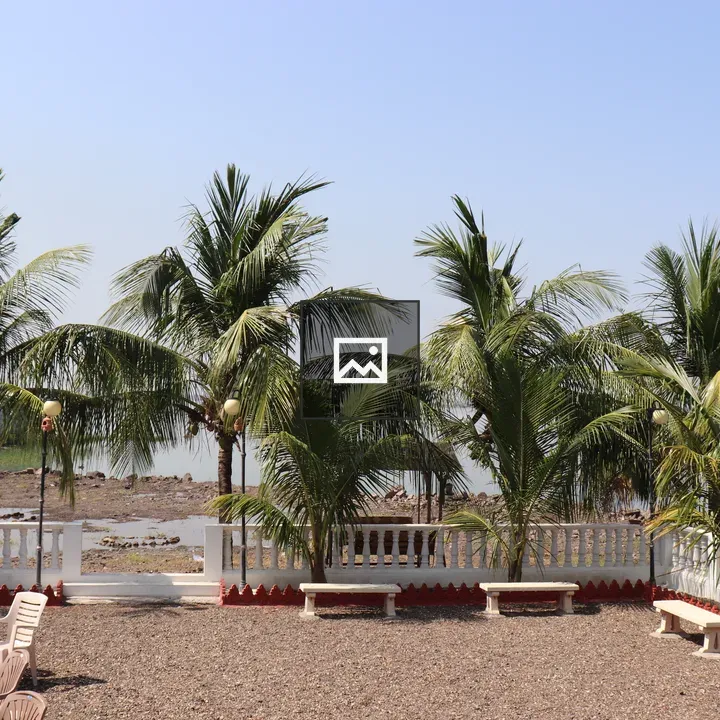 Outdoor seating by palm area