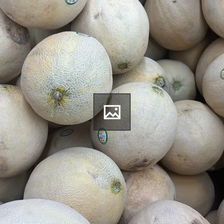 Cantaloupes in a Box