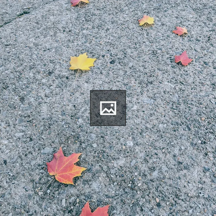 Colorful maple leaves on the ground