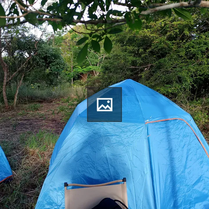 Bright blue dome tents in a grassy campsite
