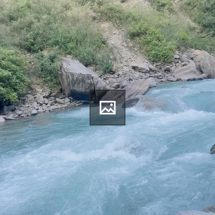 Forest river with rocks