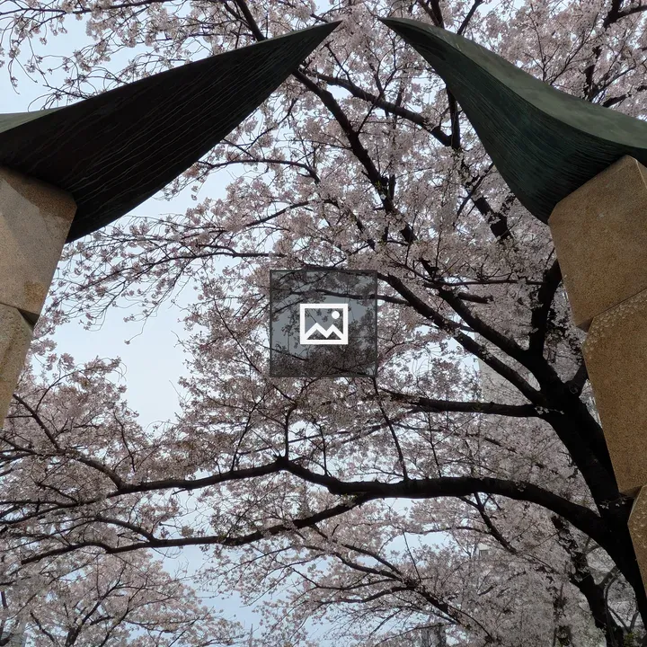 Framed cherry blossoms through arches