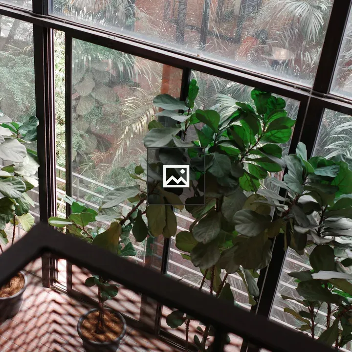 Balcony with plants and window