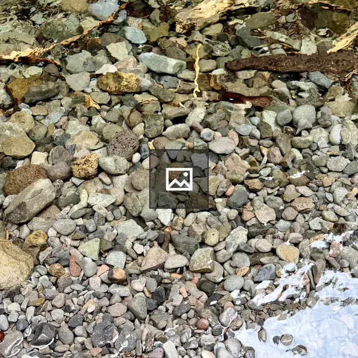 Pebble-strewn riverbed in Oregon