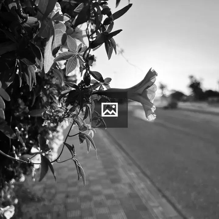 Blooming flower branch