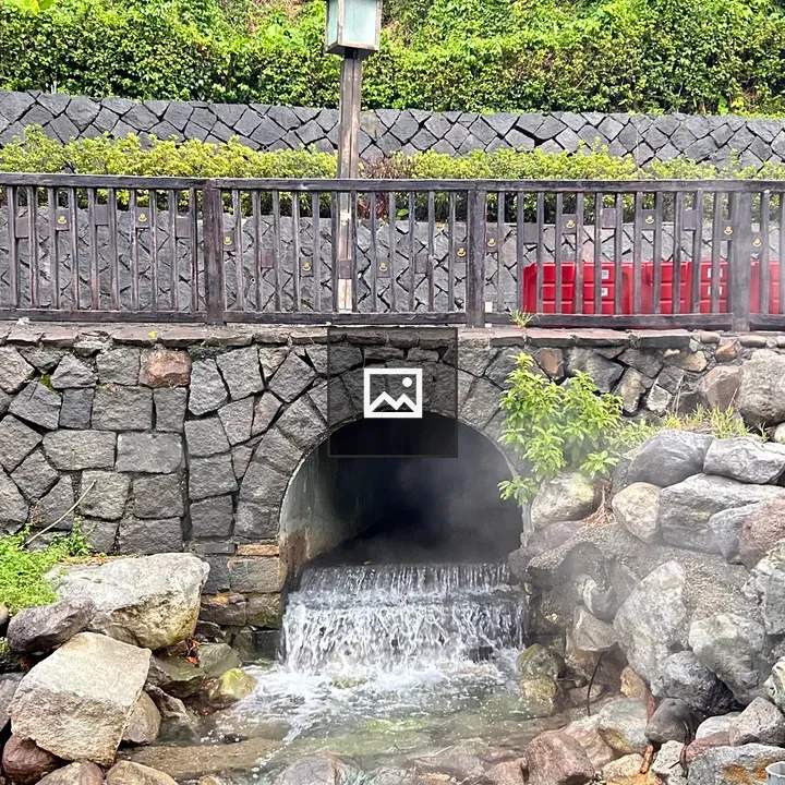 Stone bridge over stream