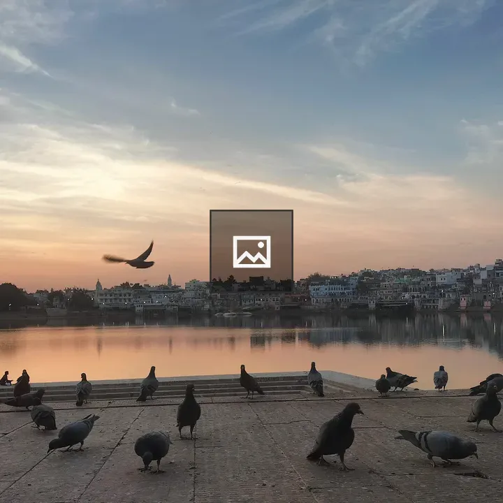 Pigeons by Pushkar Lake at Sunset