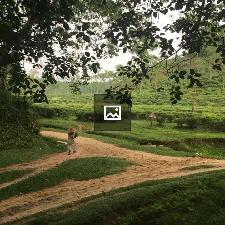 Person Walking Through Tea Plantation