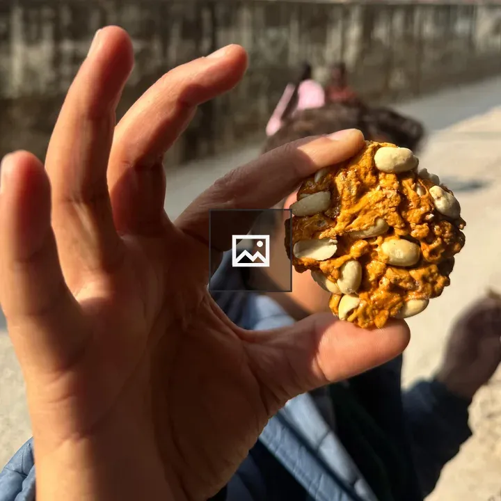 Hand Holding Snack Cookie