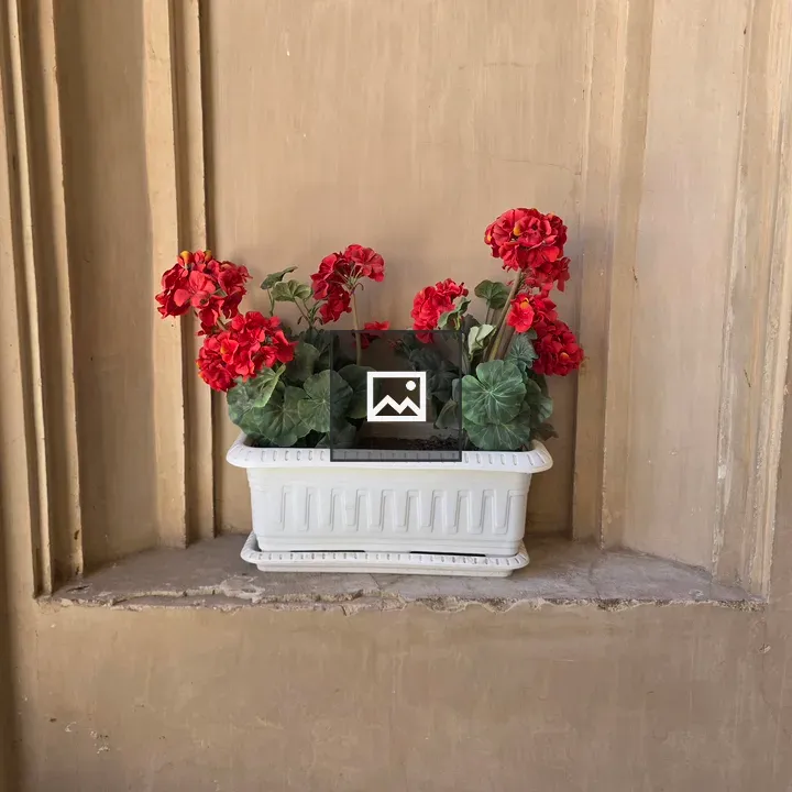 White planter with red flowers