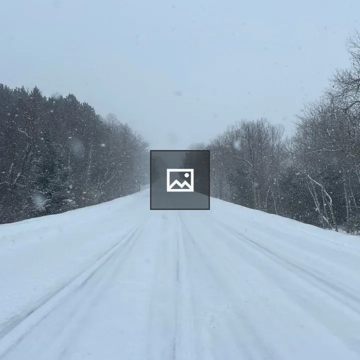 Snowy Road Through Forested Swamp
