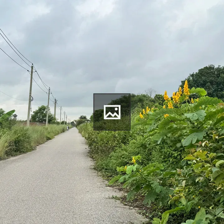 Narrow Path with Yellow Flowers