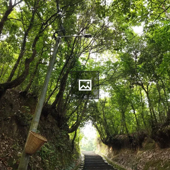 Stairway in Dhulikhel Nepal