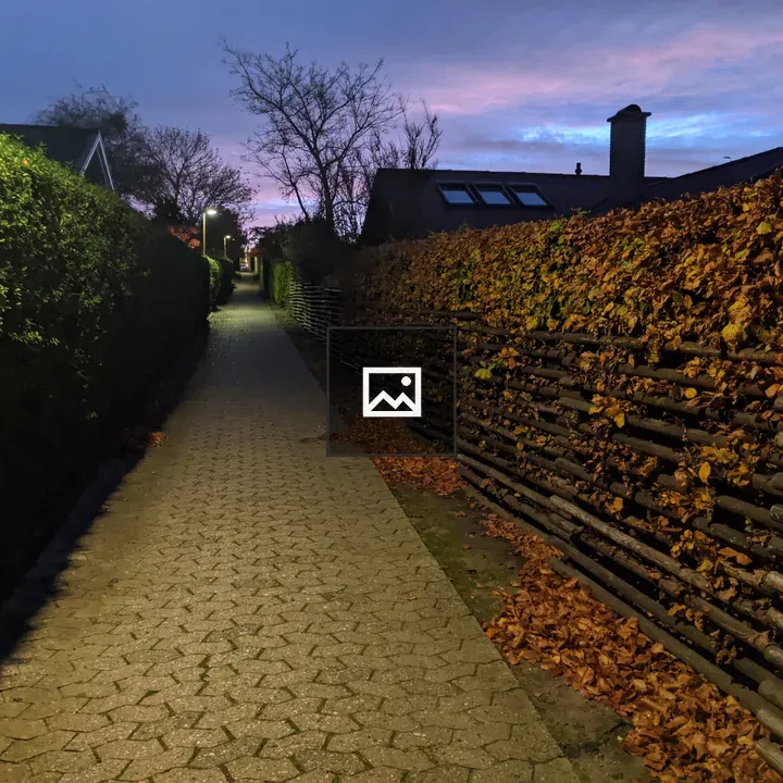 Illuminated Path Between Hedges