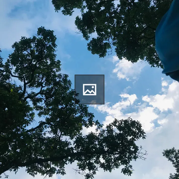 Trees and Clouds Under Blue Sky