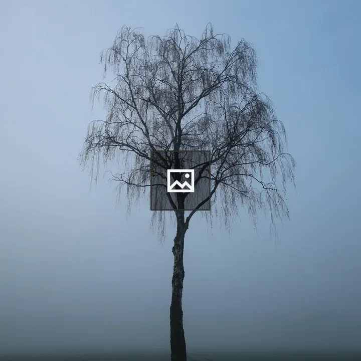 Birch Tree in the Mist