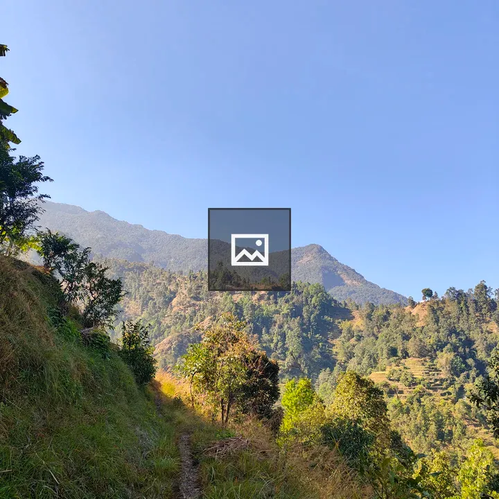 Narrow Path Through Green Landscape